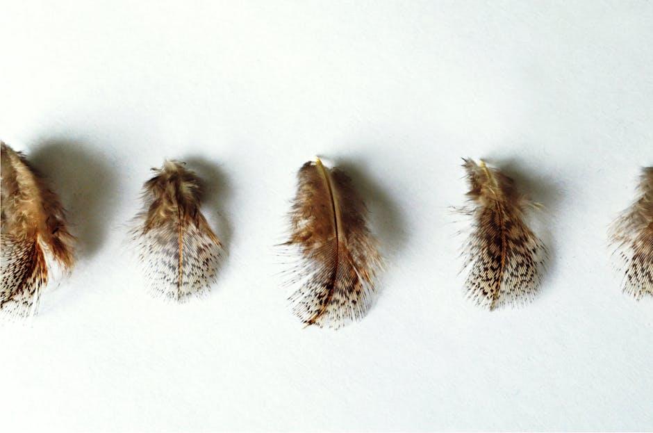 缺角的圓：當五行歸位，家才完整