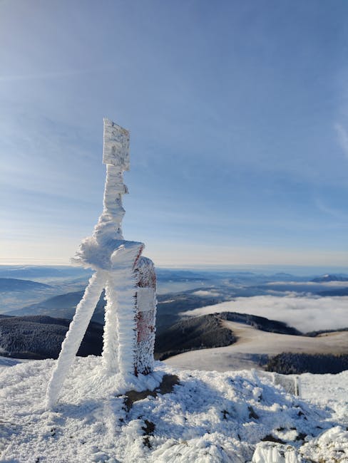 起：完美的藍圖，卻少了家的溫度